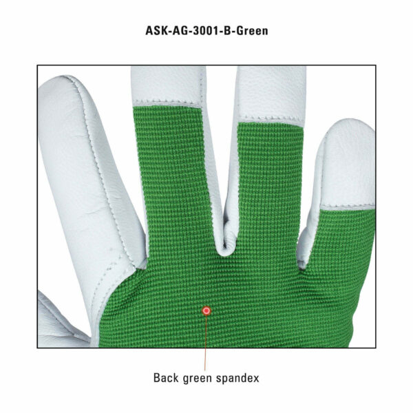Goat Skin Assembly Gloves